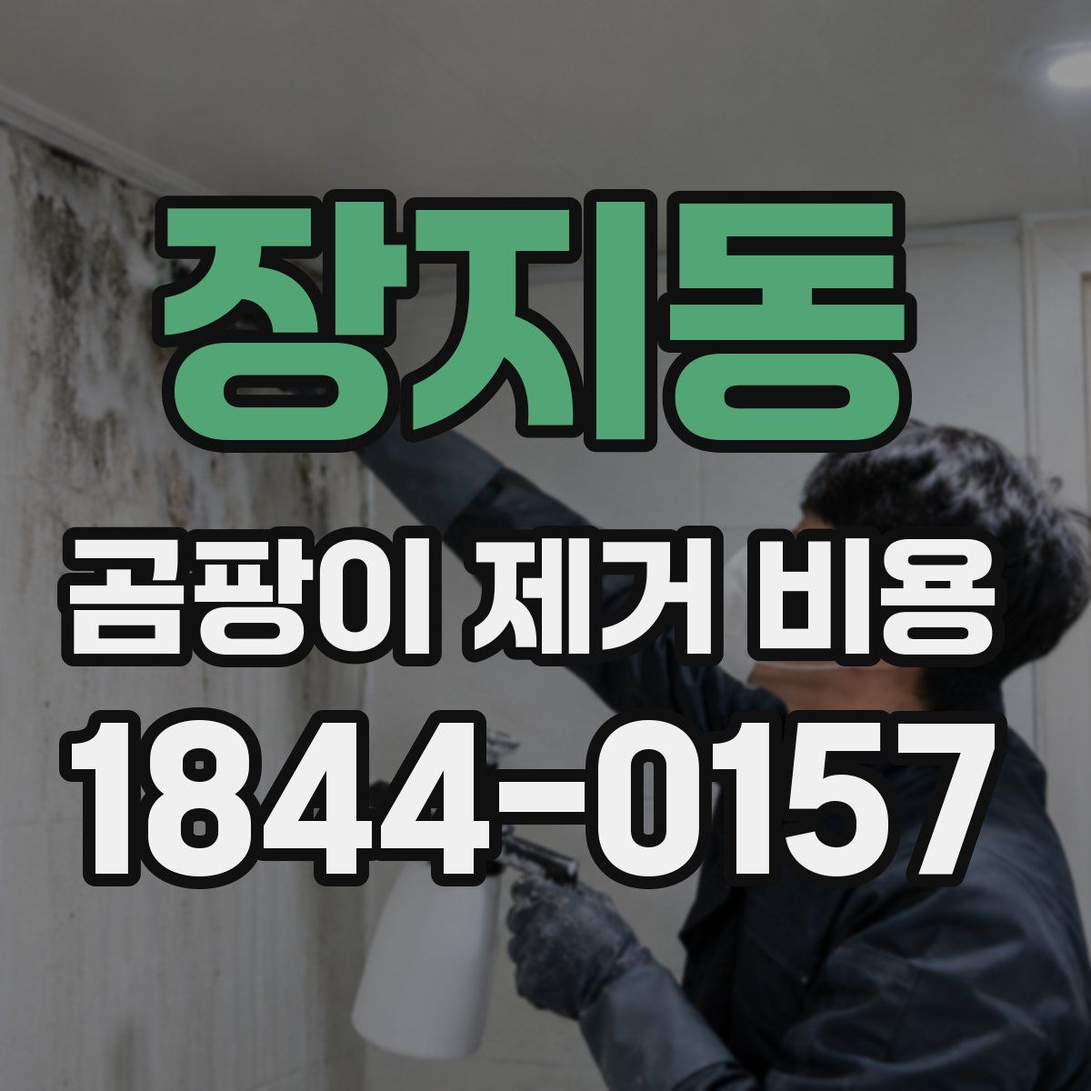 장지동 곰팡이 제거 비용