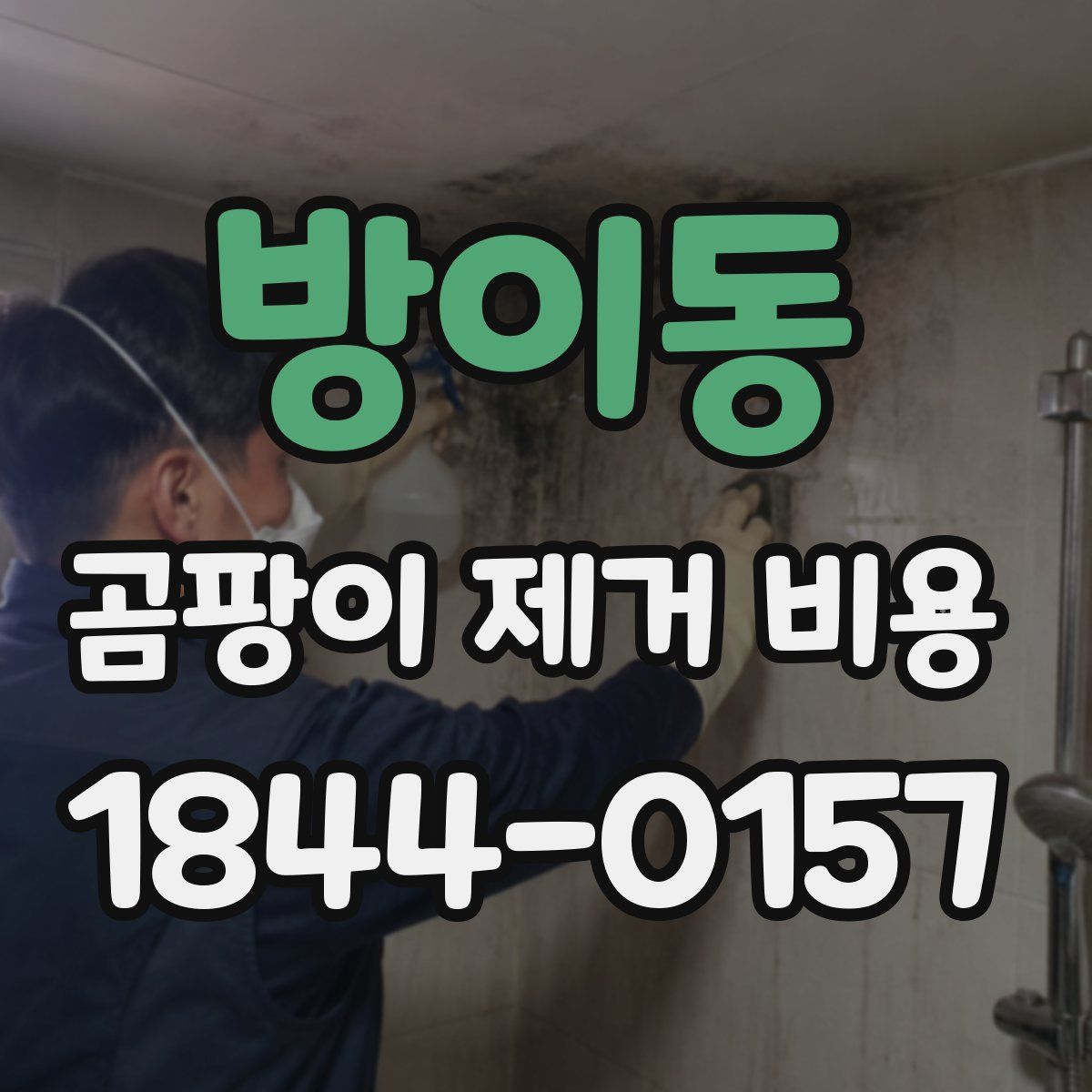 방이동 곰팡이 제거 비용