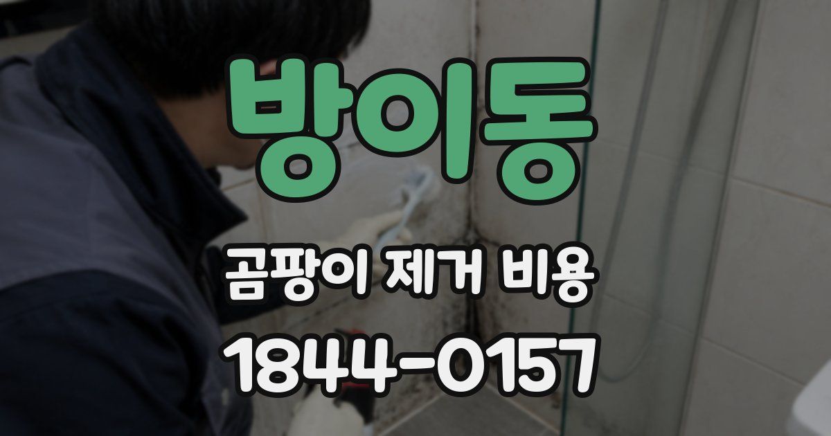 방이동 곰팡이 제거 비용