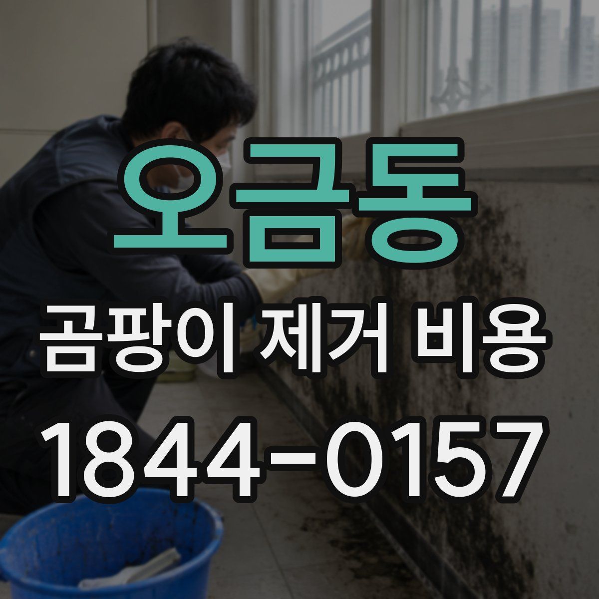 오금동 곰팡이 제거 비용