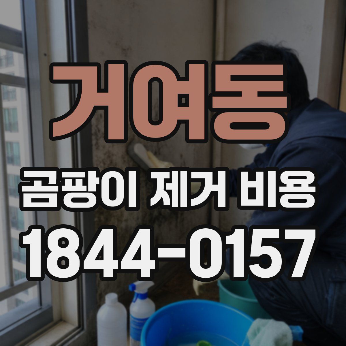 거여동 곰팡이 제거 비용