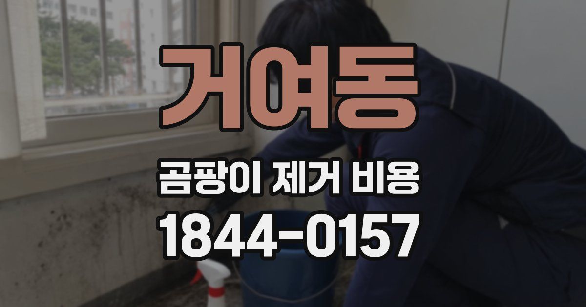 거여동 곰팡이 제거 비용