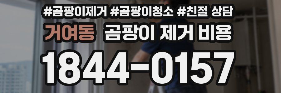 거여동 곰팡이 제거 비용