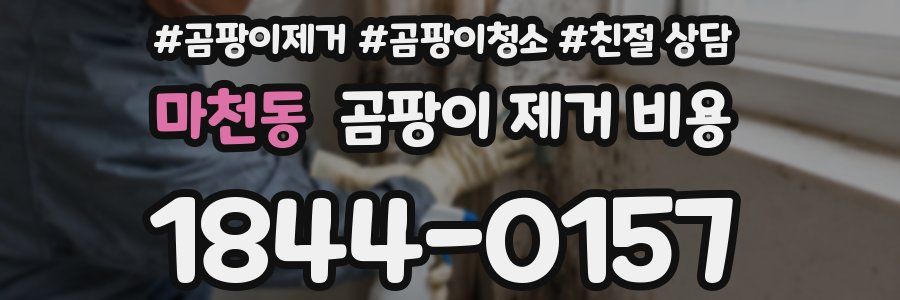 마천동 곰팡이 제거 비용