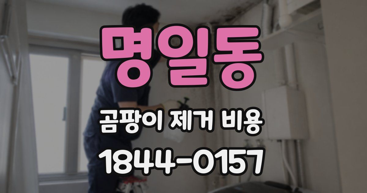 명일동 곰팡이 제거 비용
