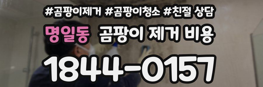 명일동 곰팡이 제거 비용