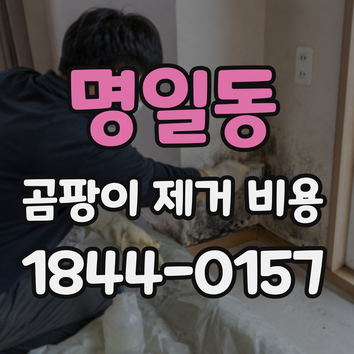 명일동 곰팡이 제거 비용