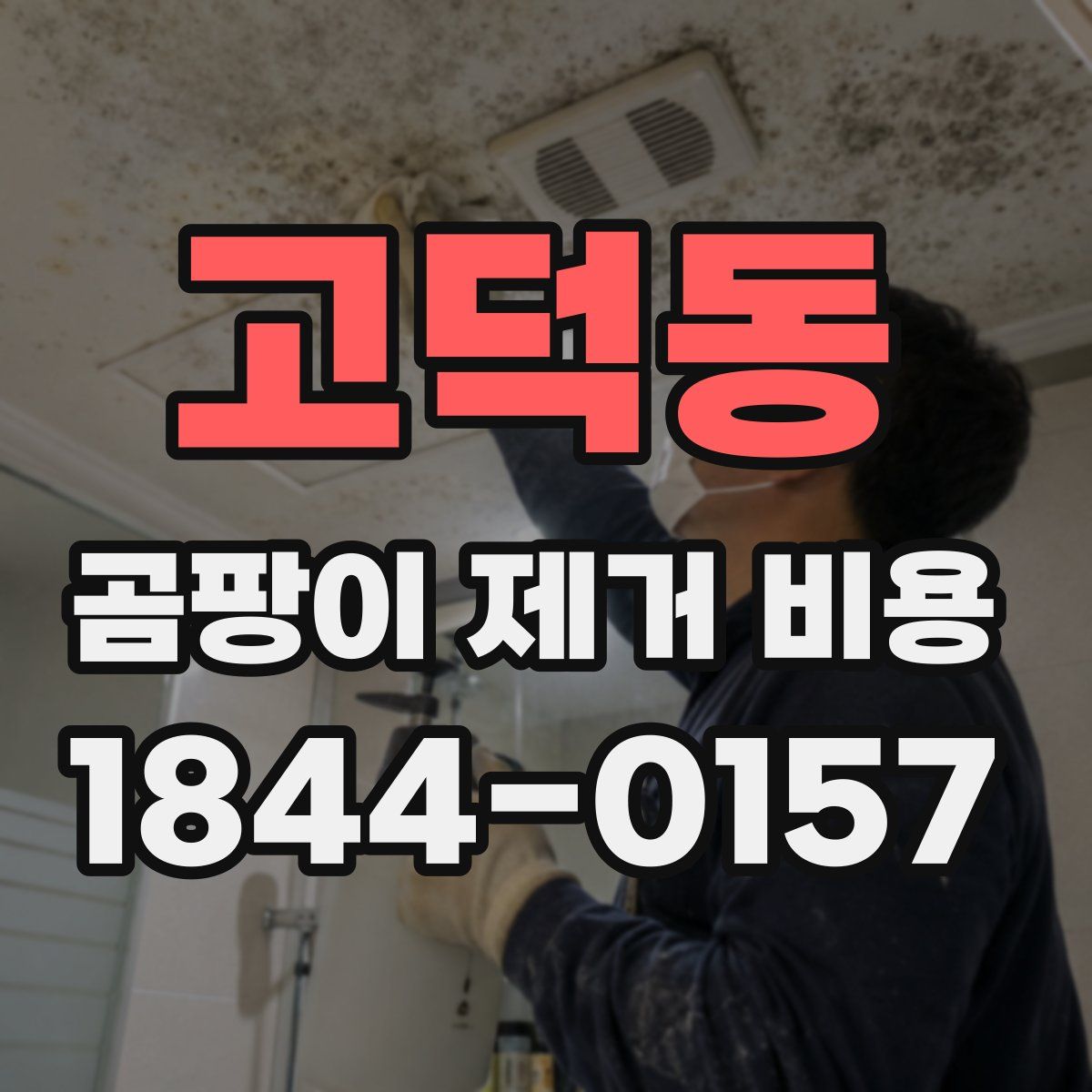 고덕동 곰팡이 제거 비용