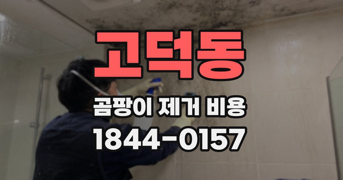 고덕동 곰팡이 제거 비용