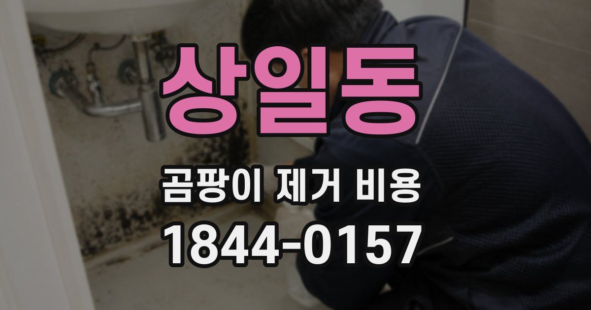 상일동 곰팡이 제거 비용