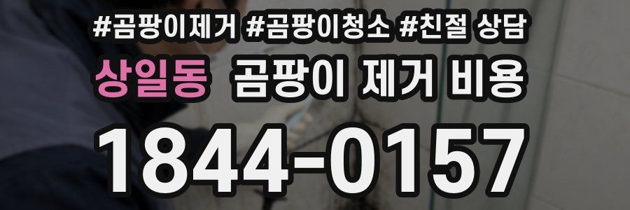 상일동 곰팡이 제거 비용