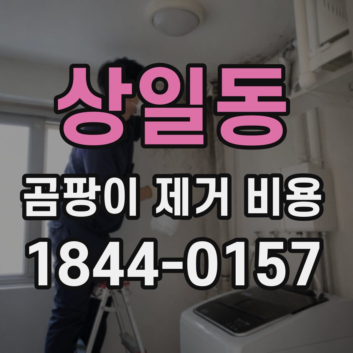 상일동 곰팡이 제거 비용