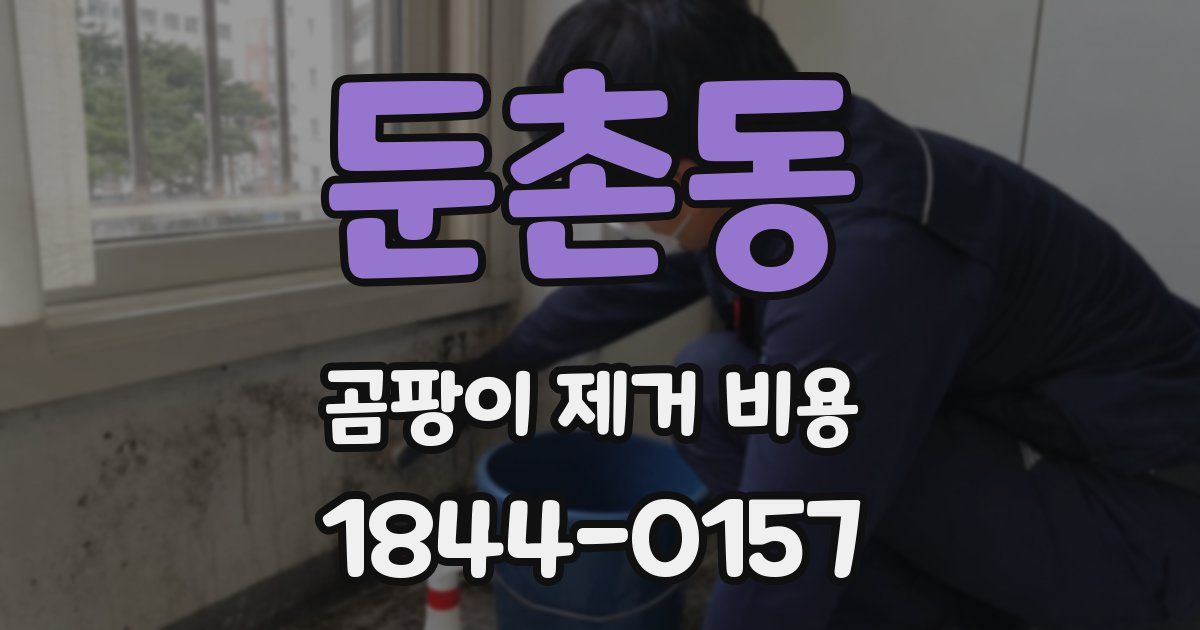 둔촌동 곰팡이 제거 비용