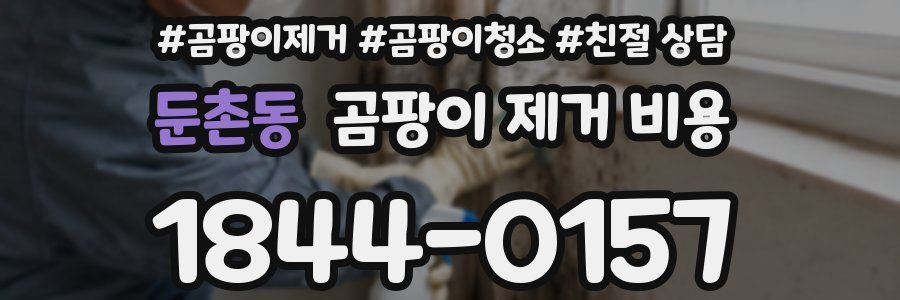둔촌동 곰팡이 제거 비용