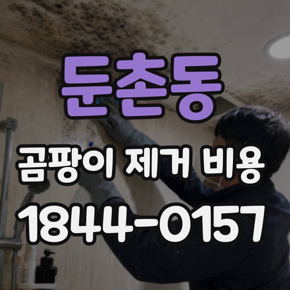 둔촌동 곰팡이 제거 비용
