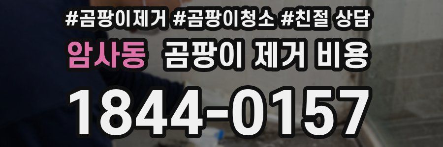 암사동 곰팡이 제거 비용