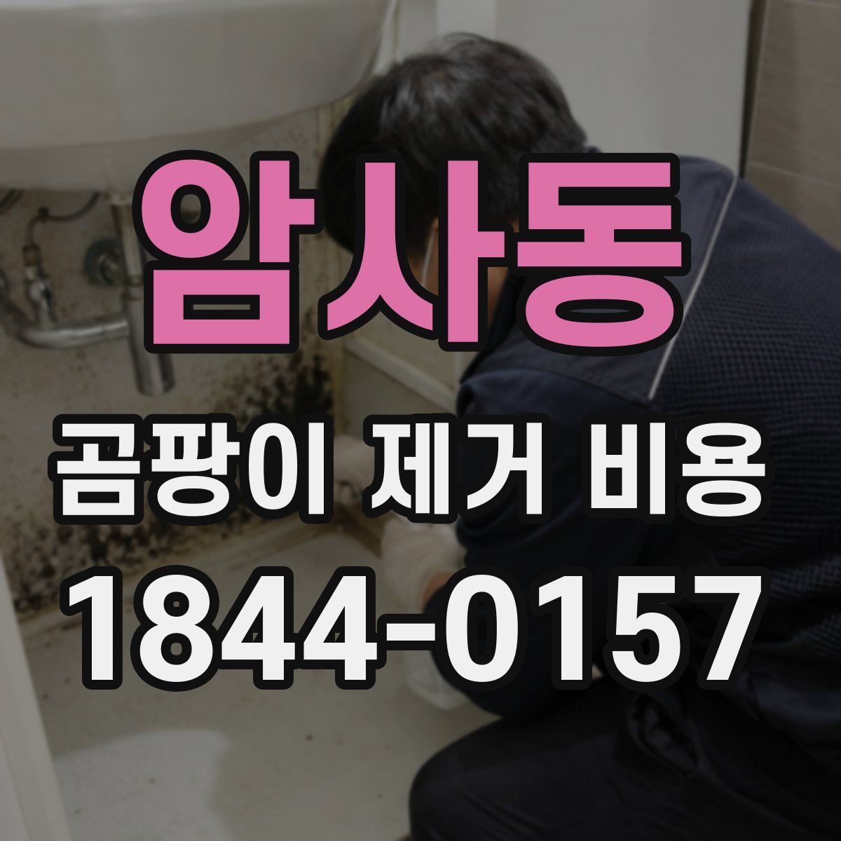 암사동 곰팡이 제거 비용