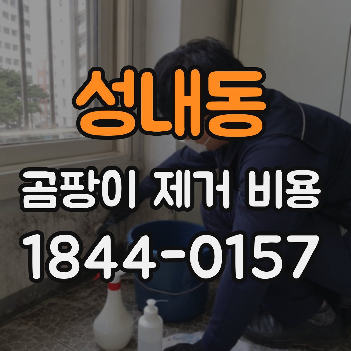 성내동 곰팡이 제거 비용