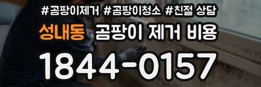 성내동 곰팡이 제거 비용
