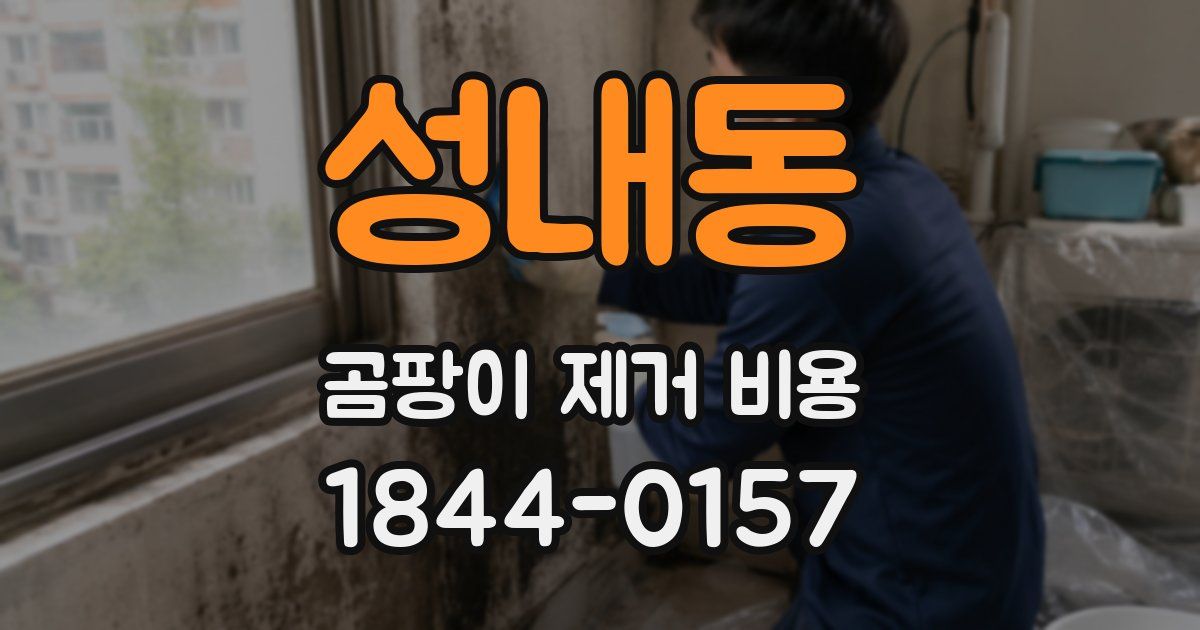 성내동 곰팡이 제거 비용