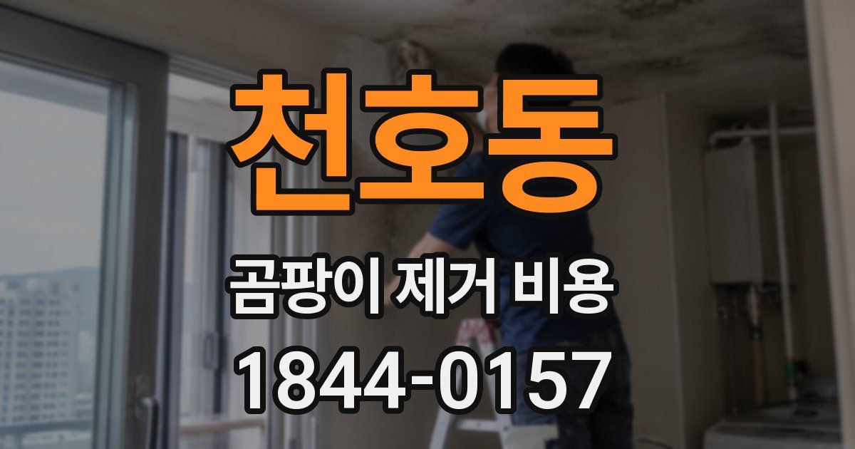 천호동 곰팡이 제거 비용