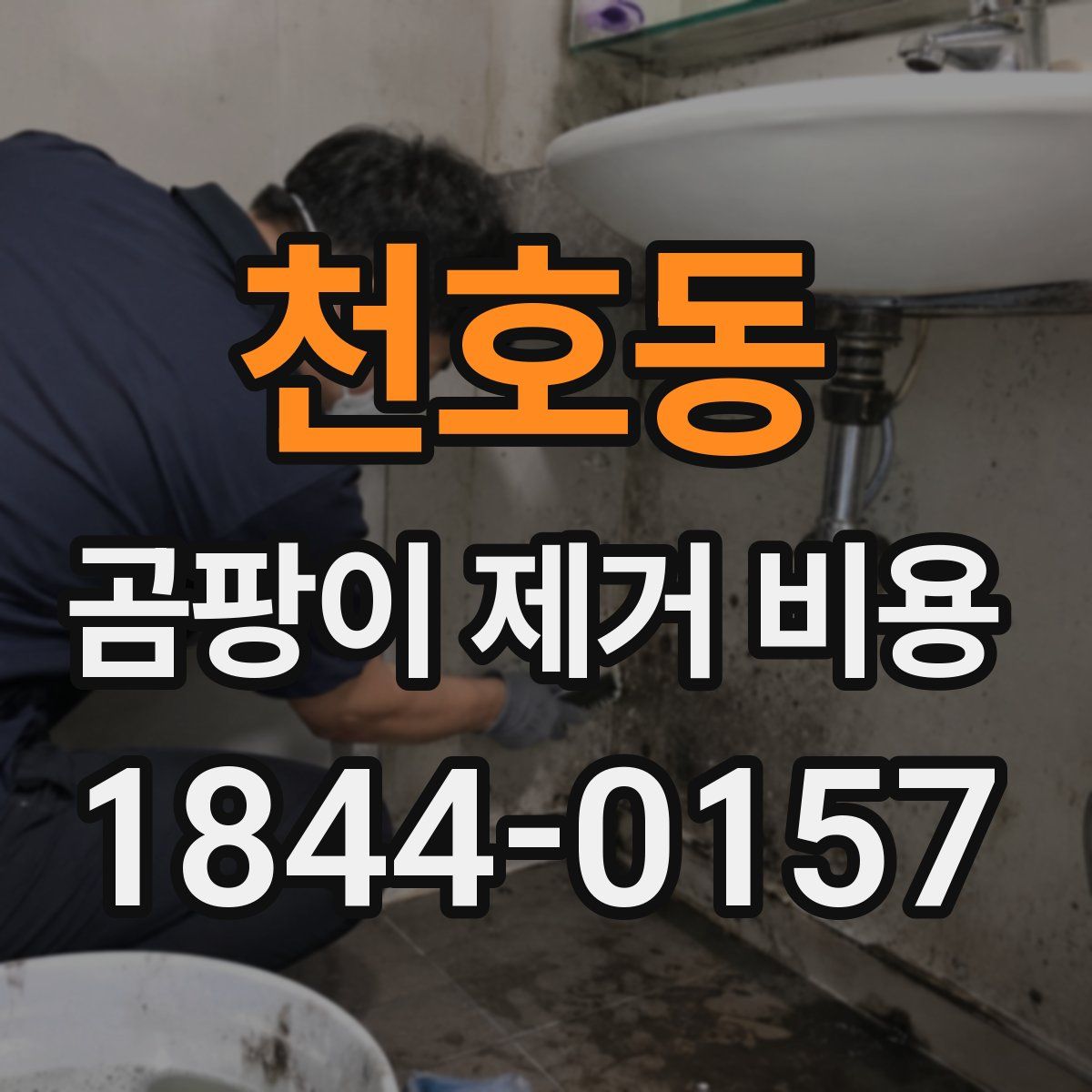 천호동 곰팡이 제거 비용