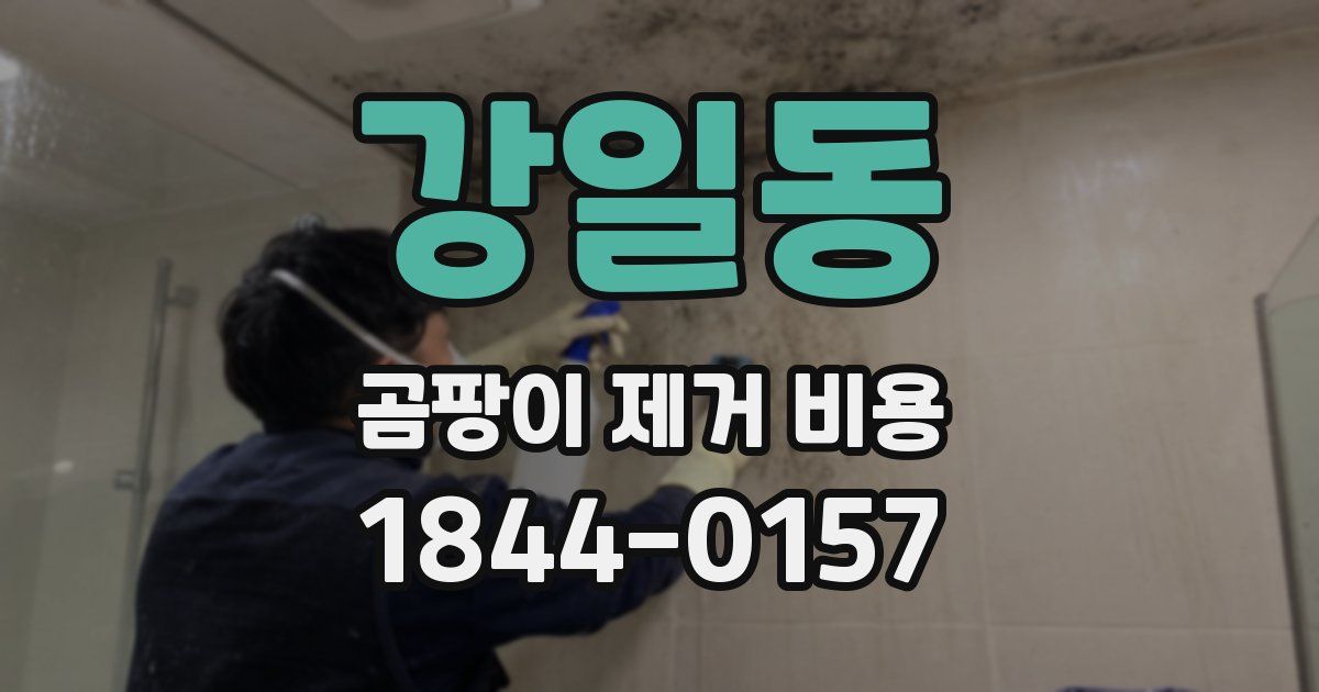 강일동 곰팡이 제거 비용