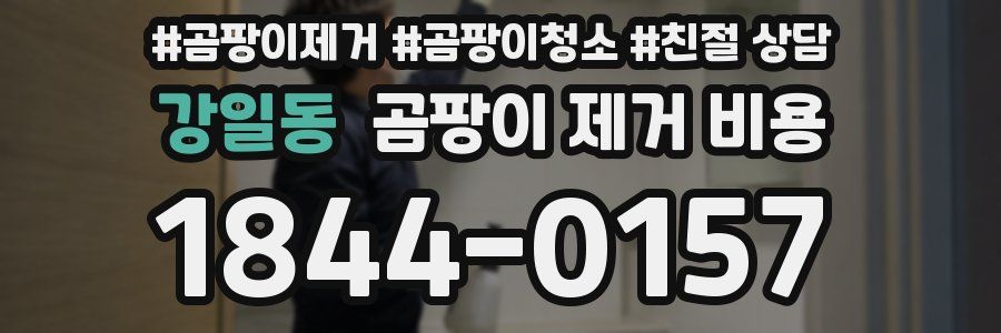 강일동 곰팡이 제거 비용