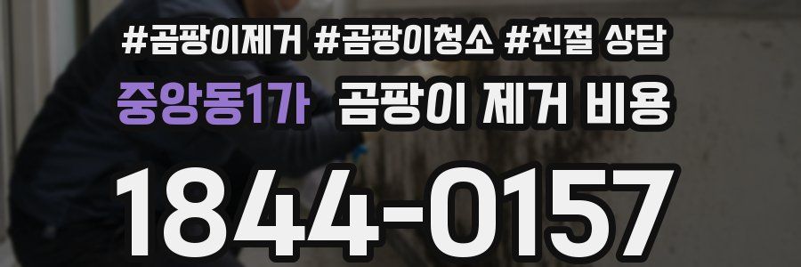 중앙동1가 곰팡이 제거 비용