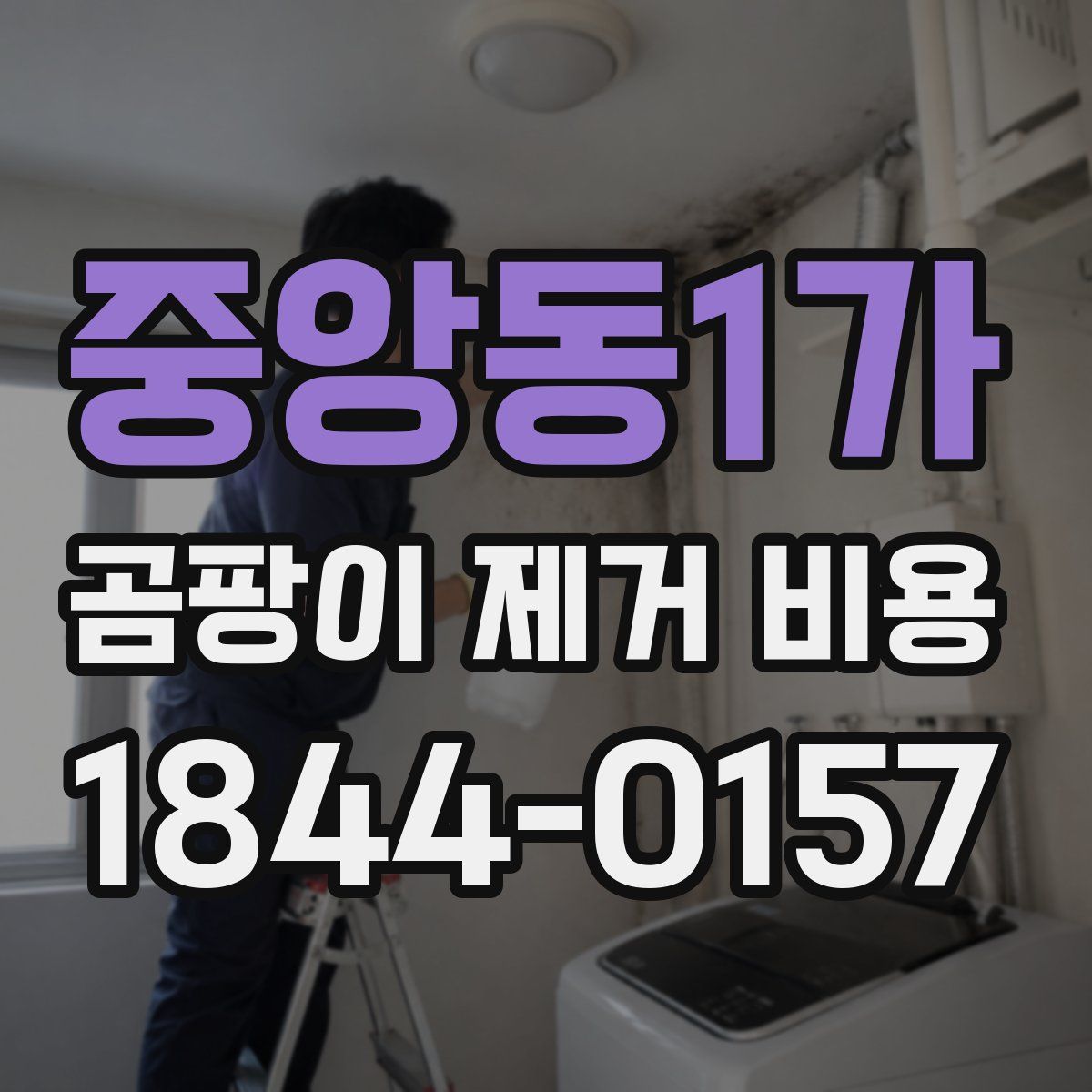 중앙동1가 곰팡이 제거 비용