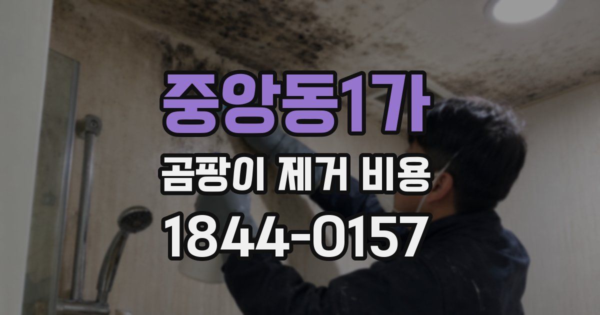 중앙동1가 곰팡이 제거 비용