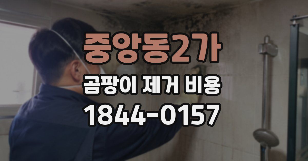 중앙동2가 곰팡이 제거 비용
