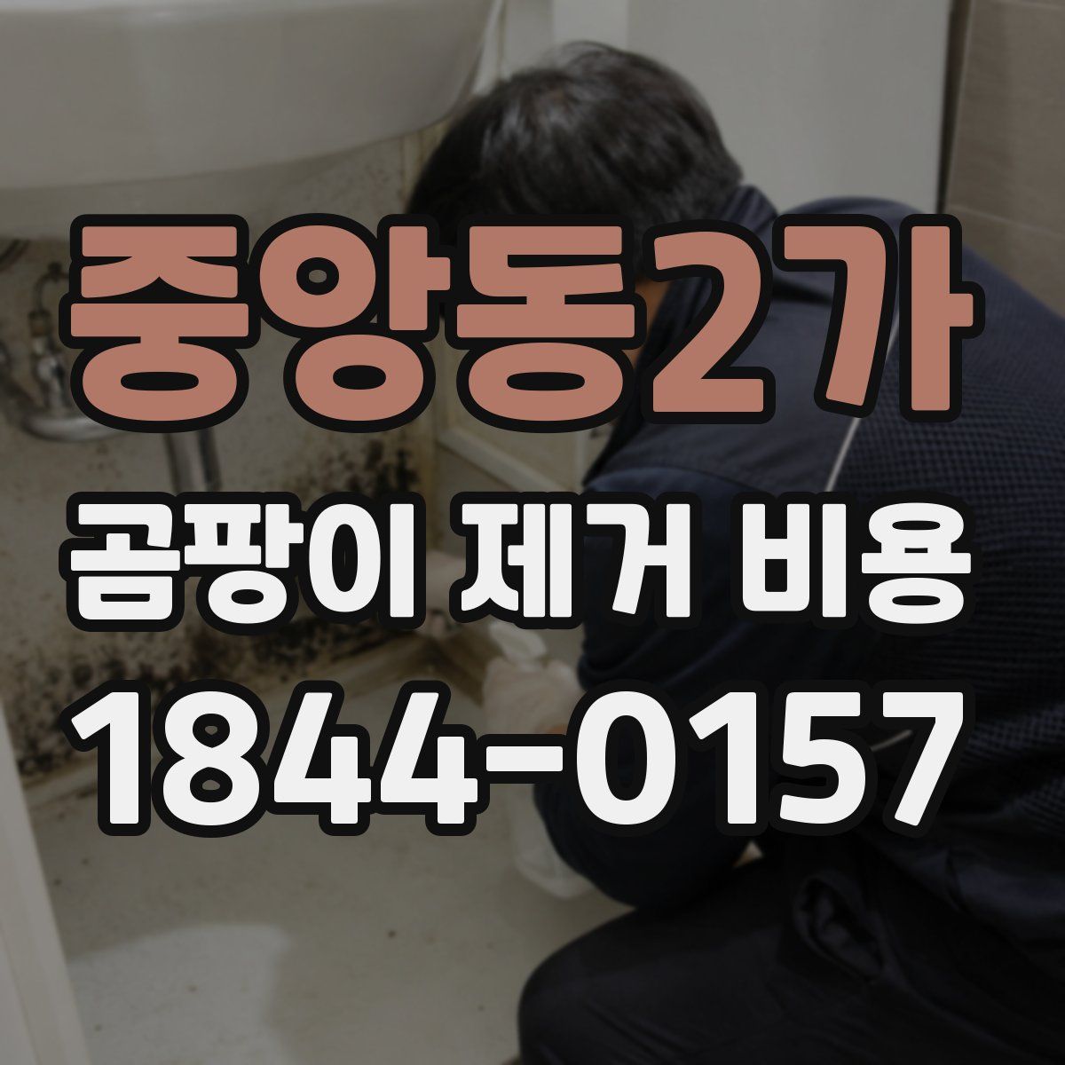 중앙동2가 곰팡이 제거 비용