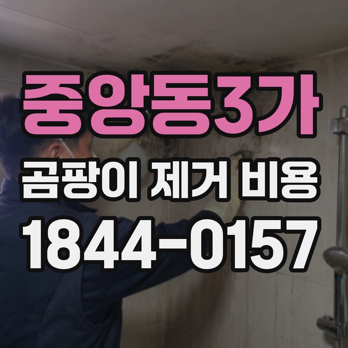 중앙동3가 곰팡이 제거 비용 표면 처리만으로 충분한지 판단하는 법