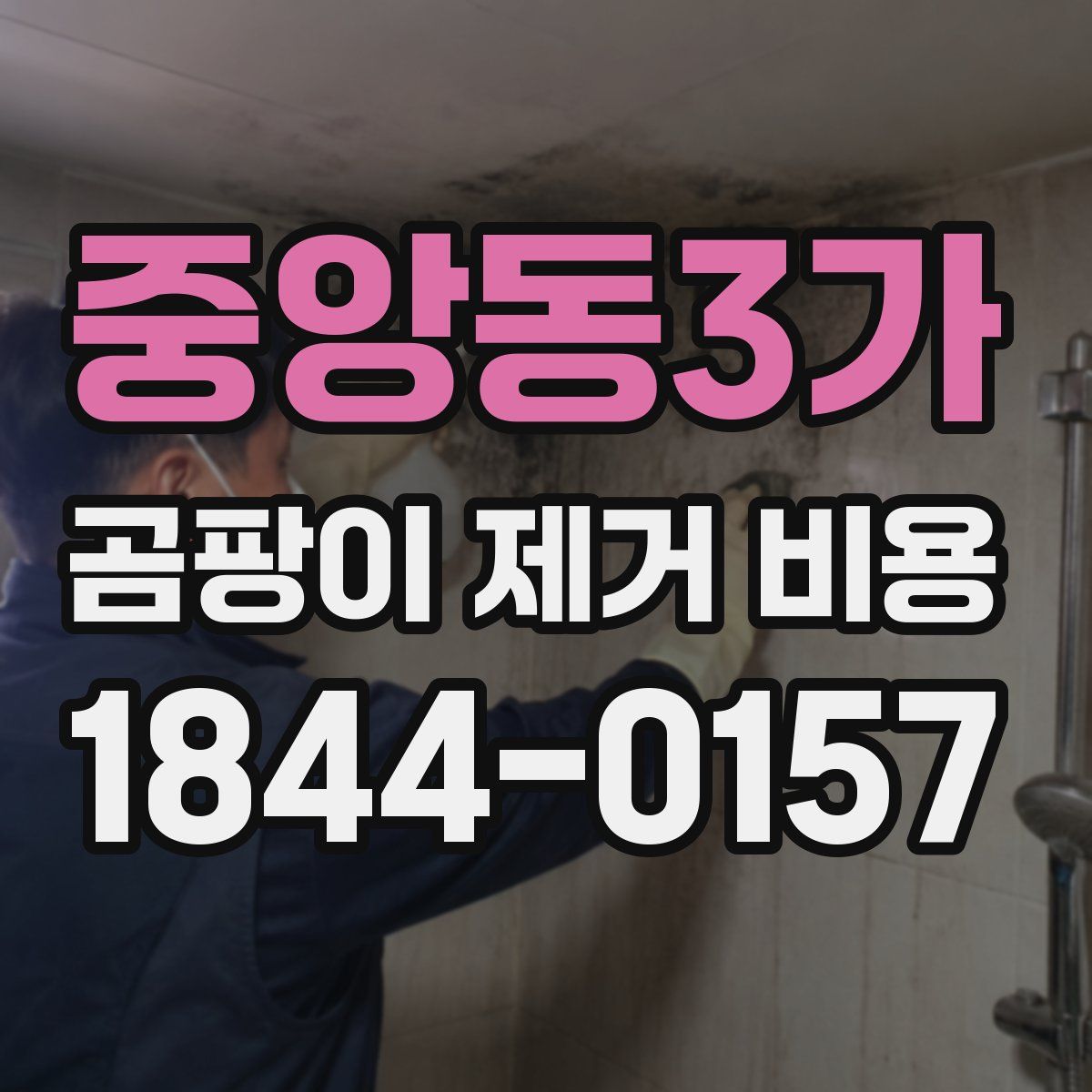 중앙동3가 곰팡이 제거 비용