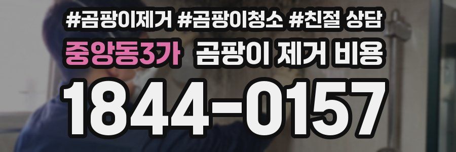 중앙동3가 곰팡이 제거 비용