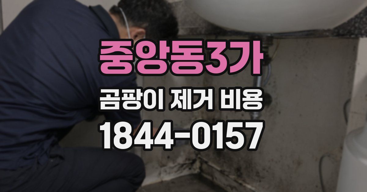 중앙동3가 곰팡이 제거 비용