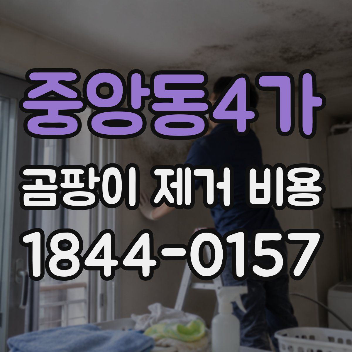 중앙동4가 곰팡이 제거 비용