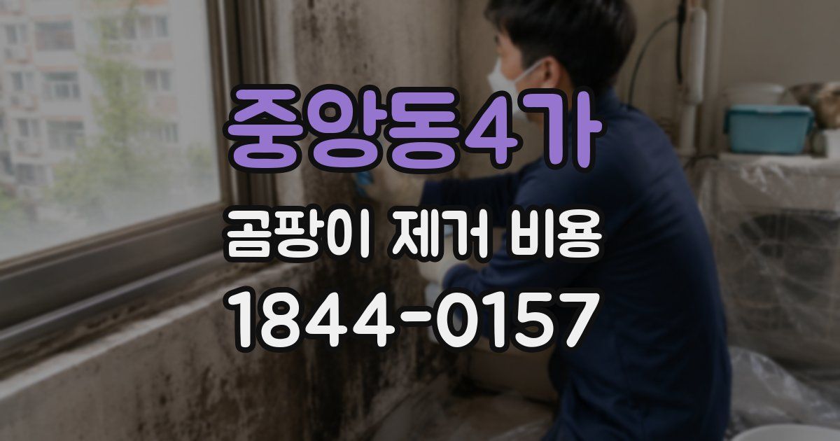 중앙동4가 곰팡이 제거 비용