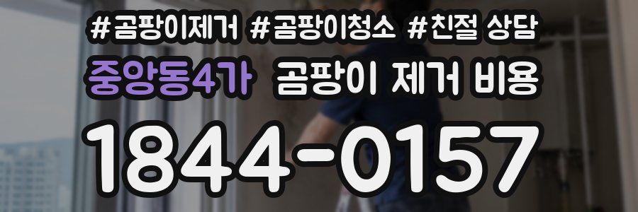 중앙동4가 곰팡이 제거 비용