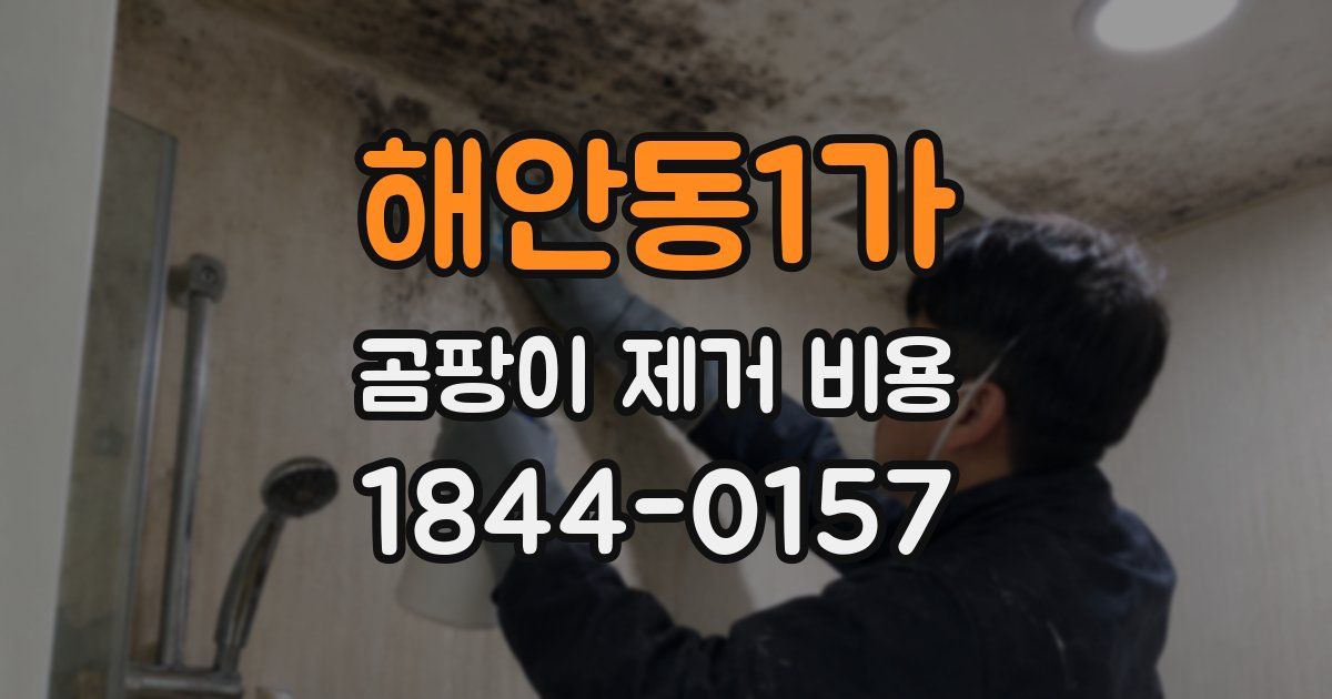 해안동1가 곰팡이 제거 비용