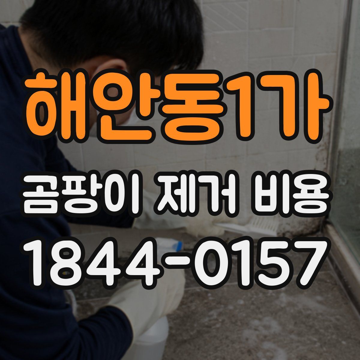 해안동1가 곰팡이 제거 비용