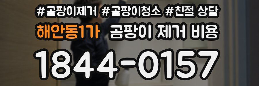 해안동1가 곰팡이 제거 비용