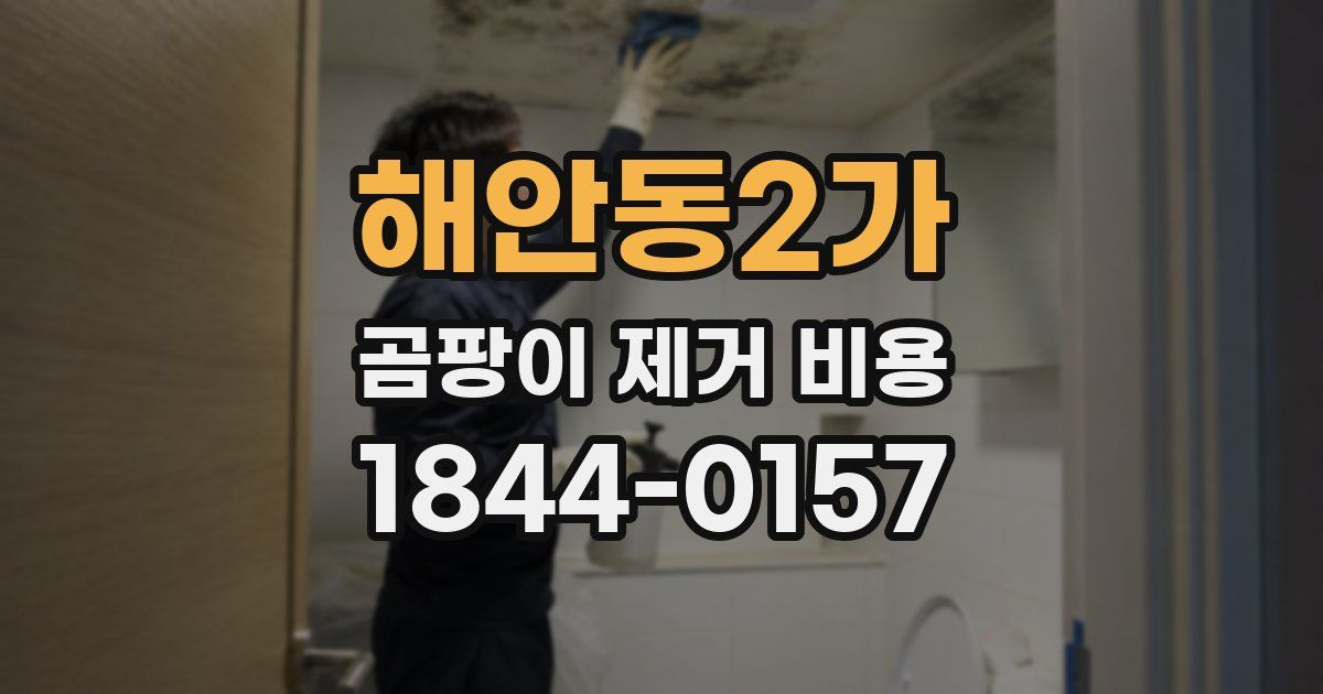 해안동2가 곰팡이 제거 비용