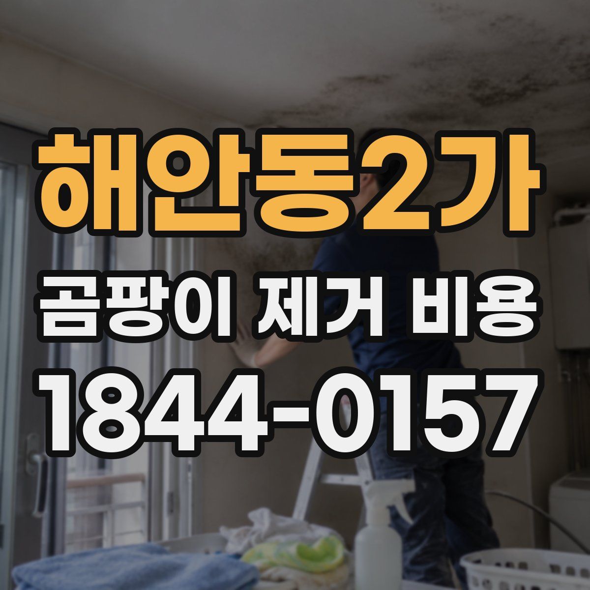 해안동2가 곰팡이 제거 비용