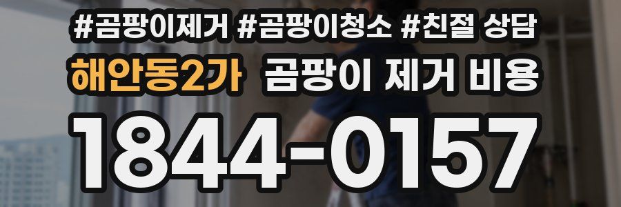 해안동2가 곰팡이 제거 비용