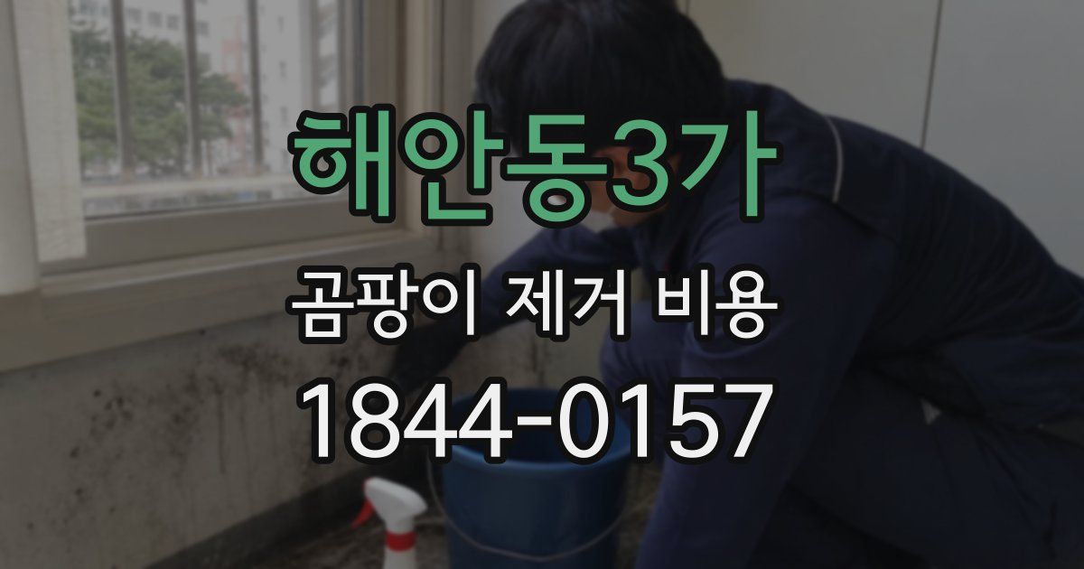 해안동3가 곰팡이 제거 비용