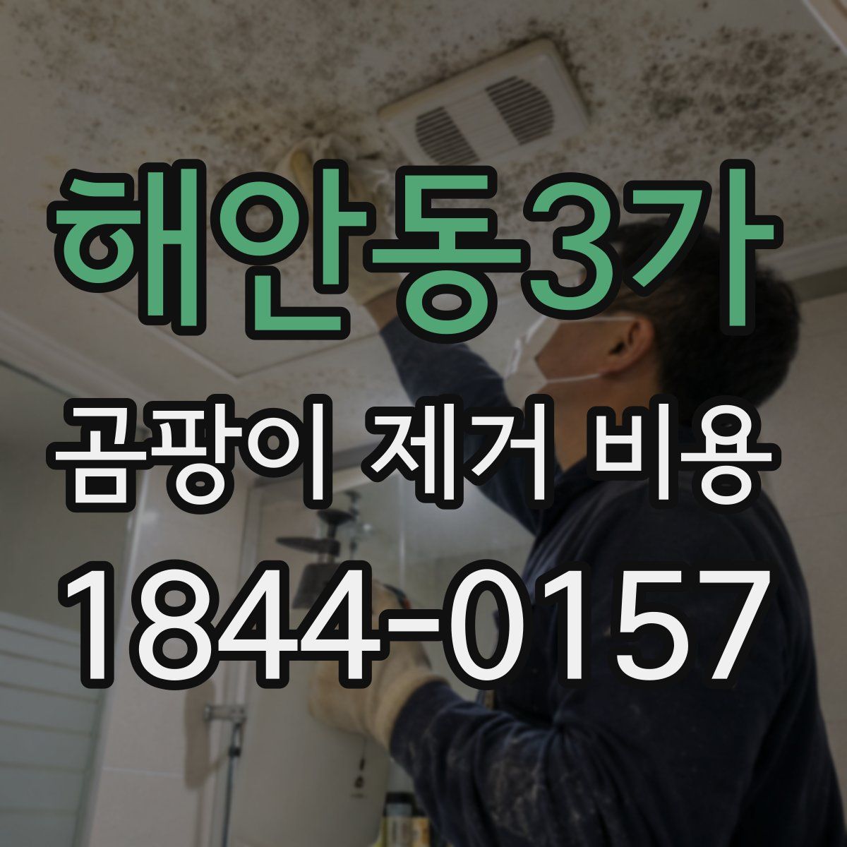 해안동3가 곰팡이 제거 비용