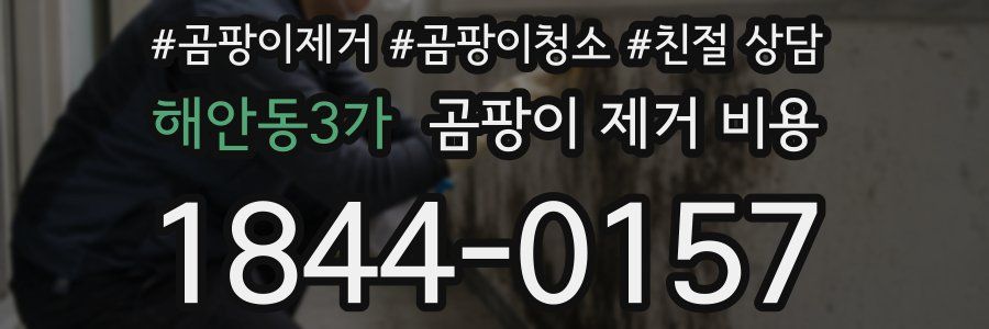 해안동3가 곰팡이 제거 비용
