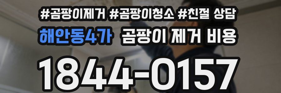 해안동4가 곰팡이 제거 비용